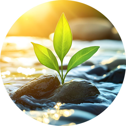 Adobe Stock Id 1479401613